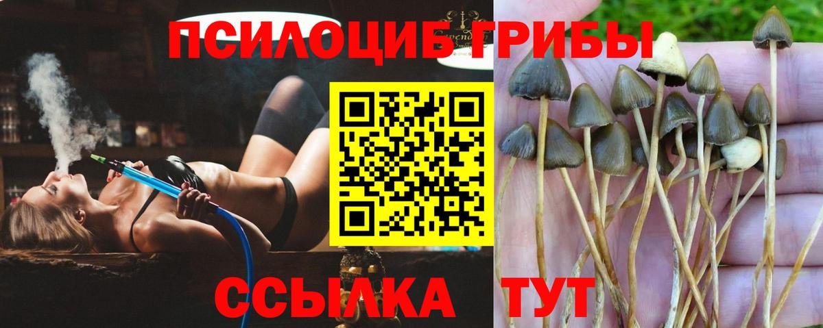 Галлюциногенные грибы мицелий  Вход с VPN  где купить наркотик  Краснотурьинск 
